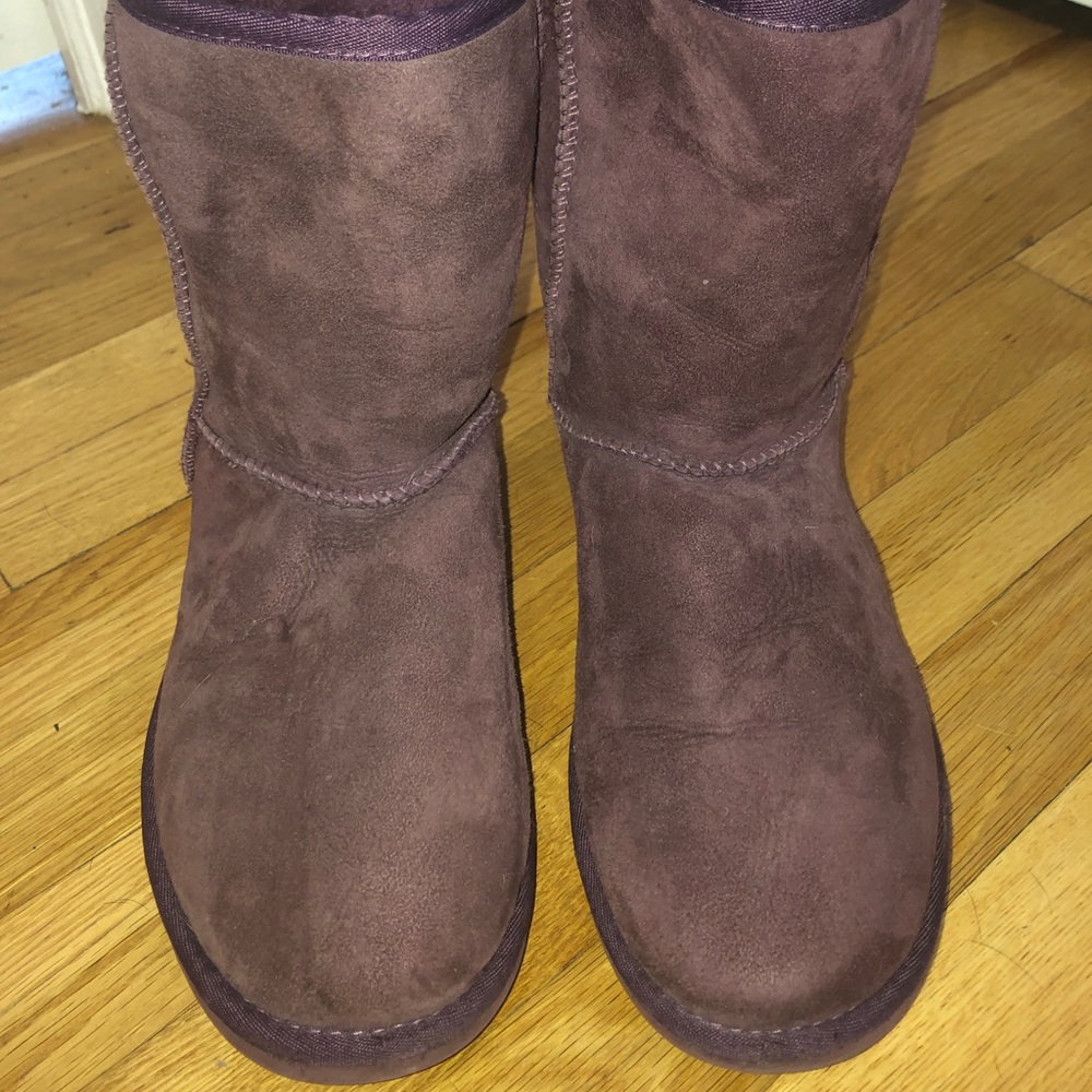 Purple Classic Uggs